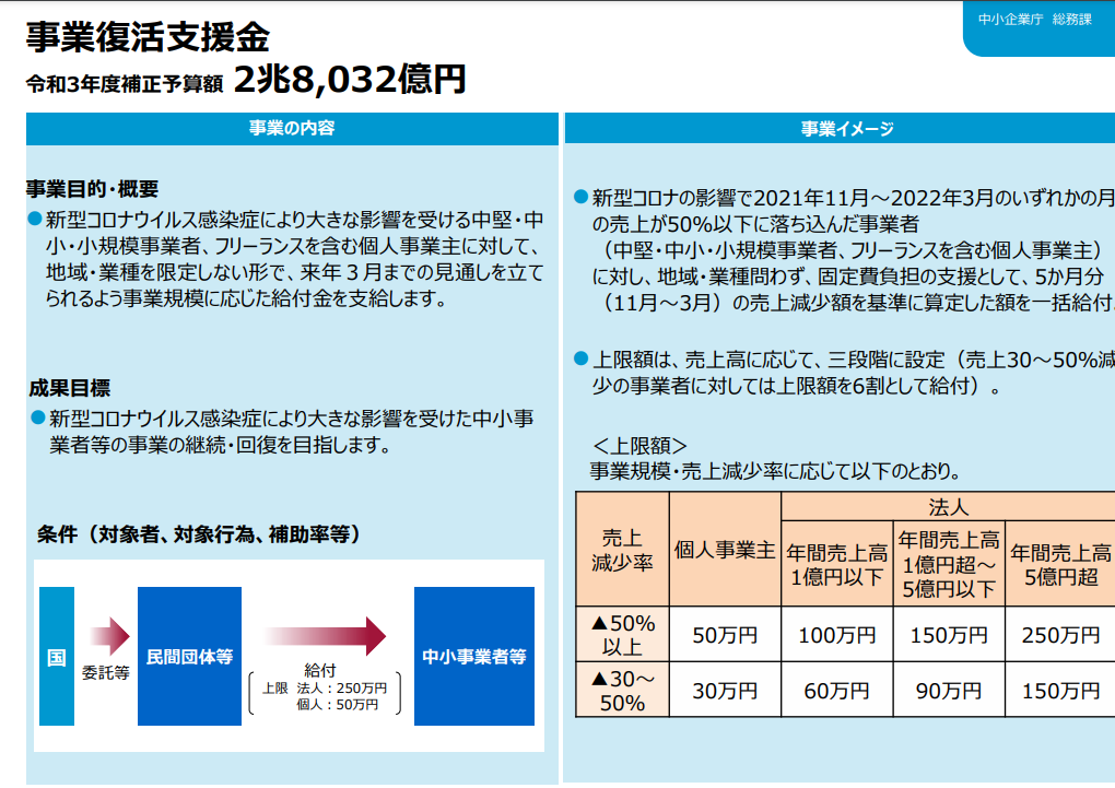 事業復活支援金の概要資料抜粋